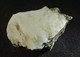 Howlite (  2 X 2 X 2 Cm ) Lang Mine - Tick Canyon - Los Angelas Co. - California - USA - Minéraux