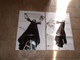 CAISSE BLEUE / Lot De 17 Posters Mylène Farmer (dans L'état) - Posters