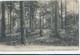 Orroir - Mont De L'Enclus - Un Coin Au Bois - 1909 - Kluisbergen