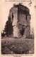St Saint-Chef (Isère) Vieille Tour En Ruines, Restes De L'ancien Manoir Féodal - Edition J. Cellard - Carte N° 014 - Saint-Chef