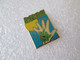 PIN'S    A H D V   ASSOCIATION HORIZONS  DROIT DE VIVRE  Email Grand Feu - Associations