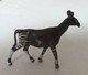 FIGURINE CLAIRET ZOO 55 OKAPI 1954 Pas Starlux - Other & Unclassified