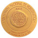 ESPAÑA. MEDALLA XIV SALÓN NACIONAL DE NUMISMÁTICA. BARCELONA 1.991. BRONCE DORADO. ESPAGNE. SPAIN MEDAL - Professionals/Firms