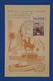 AS12 ALGERIE   BELLE CARTE   1948 EXPO  ALGER   +AEROPHILATELIE +++AFFRANCH. PLAISANT - Poste Aérienne