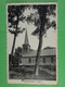 Bois De Lessines L'Eglise - Lessen