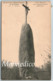 Monuments Mégalithiques De Bretagne. MENHIR Du CHAMP-DOLENT Près DOL. Ecrite En 1916 TBE - Dolmen & Menhirs