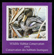 CANARD NOIR; Conservation Habitats Fauniques CANADA 1991 Wildlife Habitat Conservation; BLACK DUCK (8458) - Werbemarken (Vignetten)