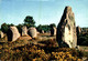 N°91096 -cpsm Carnac -alignements De Menhirs- - Dolmen & Menhirs