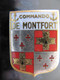 INSIGNE - COMMANDO DE MONTFORT - AUGIS à LYON - Marine