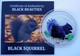 COOK ISLANDS 5 $ 2013 ARGENTO SILVER BLACK SQUIRREL BEAUTIES SCOIATTOLO MINTAGE 999 PCS PESO 20g TITOLO 0,925 CONSERVAZI - Cookinseln