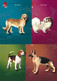 Hong Kong 2006 Anno Del Cane 4 Cartoline Postali Nuove - Ganzsachen