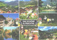 Austria:Tirol Mountains, Cows, Typical Views - Europe