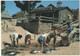 Sovereign Hill Goldmining Township, BALLARAT, Victoria - Visitors Try Their Luck Gold Panning In Red Hill Gully Creek - Ballarat