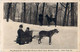 Cpa Dog Cart, Dog Steighing And Horse Back Riding On Mount Royal, MONTREAL - Canada - Other & Unclassified