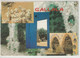 Gallala - Tunesien