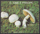 Delcampe - Lot Timbres Et Blocs Thème Champignon - Mushroom - S Tome E Principe - Pilze