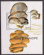 Delcampe - Lot Timbres Et Blocs Thème Champignon - Mushroom - S Tome E Principe - Mushrooms