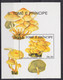 Delcampe - Lot Timbres Et Blocs Thème Champignon - Mushroom - S Tome E Principe - Pilze