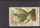 Lot De Timbres Thème Fleurs Orchidées -  S Tomé E Principe - Cuba - Indonésie Etc. - Orchidées