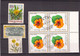 Lot De Timbres Thème Fleurs -  Pologne - Royaume Du Burrundi - Argentine Etc. - Sonstige & Ohne Zuordnung