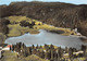 01-LAC GENIN- ENVIRONS D'OYONNAX- VUE AÉRIENNE - Oyonnax