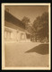 Orig. Foto 1930 Blick Auf Forstdiensthütte Forsthütte Hohen Bogen Rimbach Cham - Cham