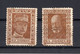 1919. CZECH REPUBLIC,POSTER STAMPS,CINDERELLA,STEFANIK,WAR MINISTER AND JIRASEK,HISTORIAN - Autres & Non Classés