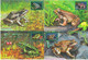Russia 2021 Frogs Frog Fauna, Maximum Cards Card - FDC