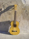 Guitare Musima - Musical Instruments