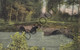 Postkaart/Carte Postale - SINT GENESIUS RODE - Le Pont Rustique Aux 7 Fontaines (C1846) - Rhode-St-Genèse - St-Genesius-Rode