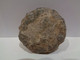 Delcampe - Erizo Fósil. Hemicidaris Aff. Luciensis.. Edad: Jurásico (bajociense) 178 Ma. Procedencia: Gourama, Marruecos. - Fossiles