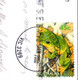(1 H 27) Australia - VIC - Geelong (posted To NSW With Frog Stamp In 2000) - Geelong