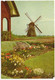 Bloembollenvelden - Molen - (Uitgave 51 - Fa. J.W. De Gruijter - Sassenheim) - Moulin/Mill/Mühle - Sassenheim