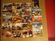Lot De 20 CPSM Recettes De Cuisine - Toutes Photographiées Recto/Verso - Voir Détails Sur Photos -10,5x15 Cm. - Recettes (cuisine)