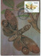 Brazil - Maximum Card - 1987 The 50th Ann. Of The Brazilian Entomology Society.butterflies / Papillons - Maximum Cards