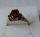 Charmanter 333er Goldring Mit Orange Braunem Edelstein + 2 Diamanten (104729) - Anillos