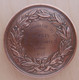 DA-085 Médaille Cuivre Société D'Enseignement Professionneldu Rhône Langue Allemande1ere Année Mr Comte Emile 1878 - Kupfer