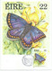Ireland - Maximum Card  - 1985 Butterflies - Maximumkarten