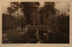 Giethoorn (Zuid) Punteren 1928 - Giethoorn