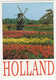 Bulb-culture Between Leyden And Haarlem, Especially Lisse And Hillegom - Tulips In Spring - Holland - Lisse