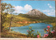 Mont Errigal Irlande 1970 - Donegal