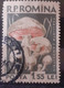 Errors Romania 1958 Mi 1728 Mushrooms Printed With Watermark  Horizontal Line  Used - Errors, Freaks & Oddities (EFO)