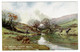Ref 1539 - L. & N.W. Railway Postcard - The Sheep Pool Llanwrtyd Wells - Breconshire Wales - Breconshire