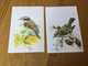 Belgique 5 Cartes Blanco D’oiseaux De Buzin + Signature - Altri & Non Classificati