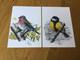 Belgique 5 Cartes Blanco D’oiseaux De Buzin + Signature - Altri & Non Classificati