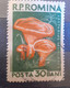 Errors Romania 1958 Mi 1724 Mushrooms Printed With Watermark  Horizontal Line  Used - Plaatfouten En Curiosa