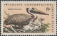 États-Unis 1972 Y&T 965. Curiosité, Dentelure Déplacée. Préservation De La Nature. Pélican Brun (Pelecanus Occidentalis) - Pélicans