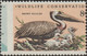 États-Unis 1972 Y&T 965. Curiosité, Dentelure Déplacée. Préservation De La Nature. Pélican Brun (Pelecanus Occidentalis) - Pelicans