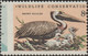 États-Unis 1972 Y&T 965. Curiosité, Dentelure Déplacée. Préservation De La Nature. Pélican Brun (Pelecanus Occidentalis) - Pélicans