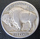 Etats-Unis / United States - 5 Five Nickel Cents Buffalo 1913 - 1913-1938: Buffalo
